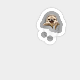 POCKET SLOTH Sticker